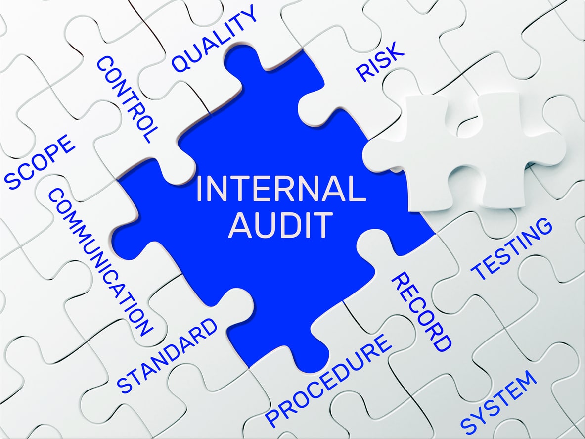 Internal Audit Plan and Schedule